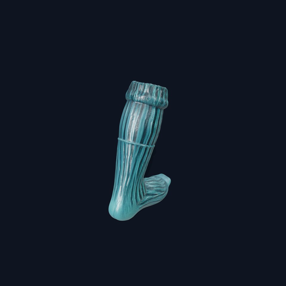 Ribbed Knit Sock Model Pack for Diverse Applications